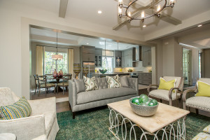 Carolina Signature Homes