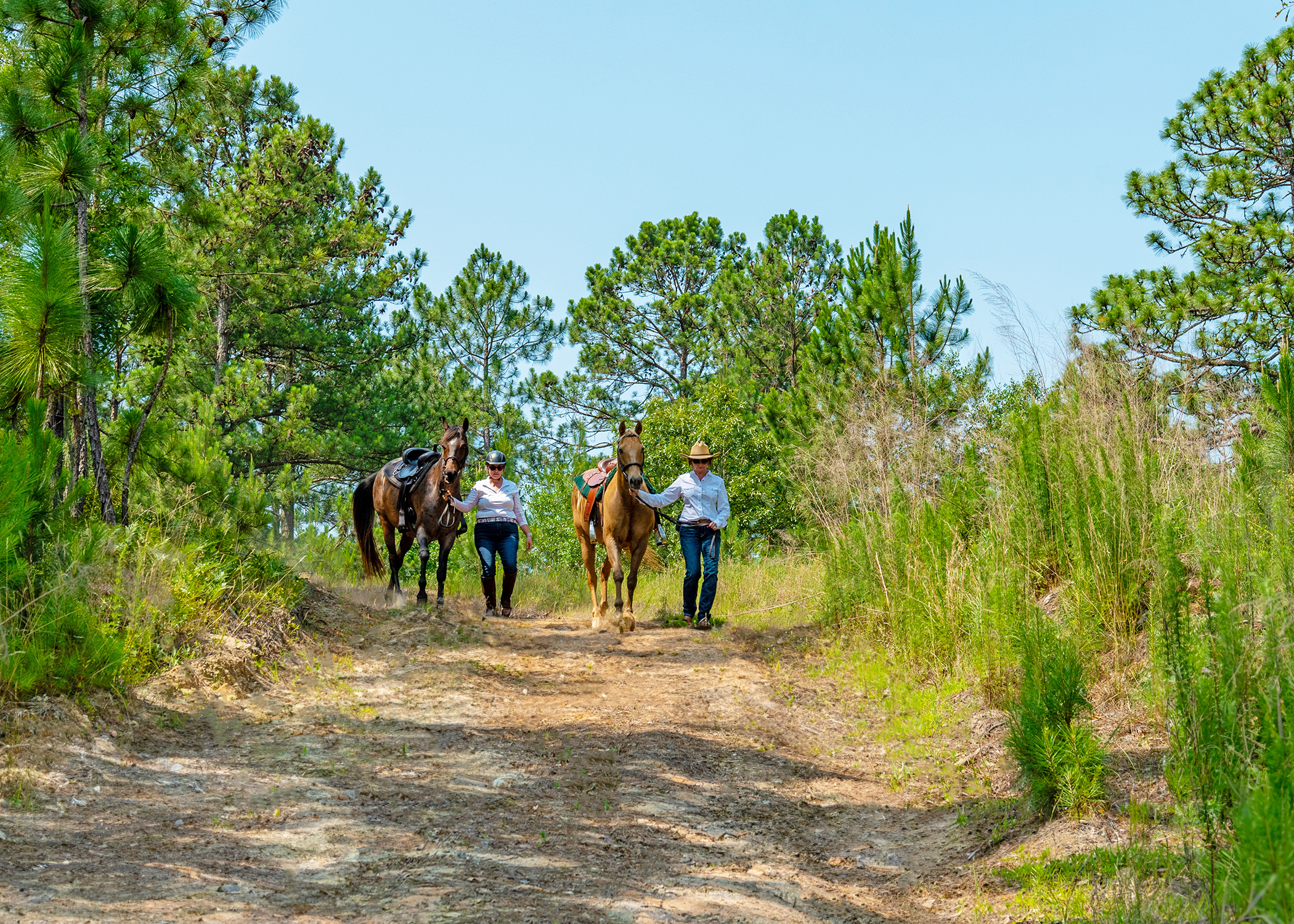 Anderson Farms Trails